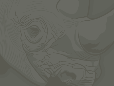 Rhino: low contrast illustration illustrator low contrast rhinoceros vector