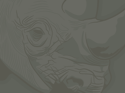 Rhino: low contrast rhinoceros vector illustrator illustration low contrast