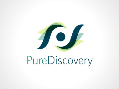 PureDiscovery identity illustrator logo vector