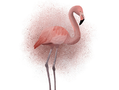 Watercolor pink flamingo art design digital flamingo illustration watercolor