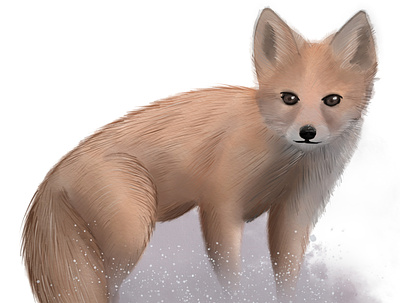 Watercolor fox art design digital fox illustration watercolor