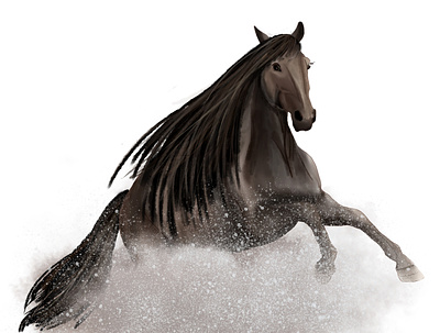 Watercolor horse art design digital horse illustration watercolor