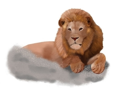 Watercolor lion art design digital illustration lion watercolor