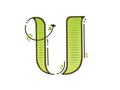 U | Dropcap dropcap fleurishes handlettering handtype illo illustration type typespiration typespire typography vector