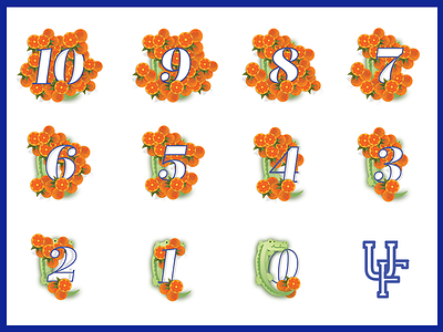 UF Gator Countdown dropcap gator handlettering handtype illo illustration type typespiration typespire typography uf vector