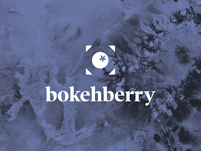bokehberry berry bokeh branding design graphic design logo logo design typography vector visual identity