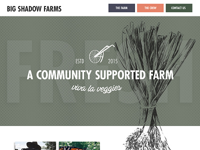 Big Shadow Farms food local minnesota website