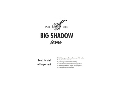 Brand Book Cover - Big Shadow Farms branding illustration logo design
