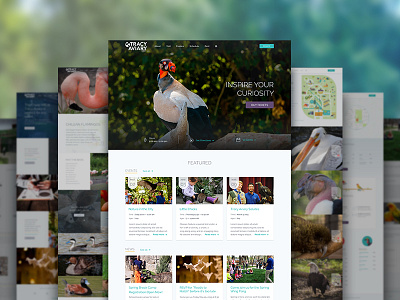 Tracy Aviary Complete Site aviary birds cards navigation photography ui website
