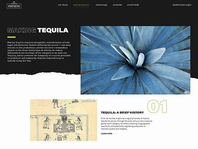 Academia Patrón - Making Tequila layout patrón tequila ux web design website