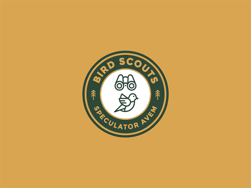 Bird Scouts Logo badge binoculars bird birding illustration logo outdoors pin scouts