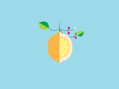 Tangerine graphic design illustration