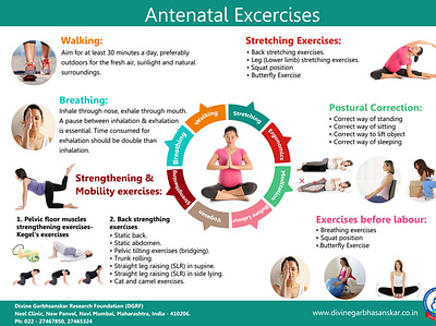 Antenatal Exercises branding design graphic design