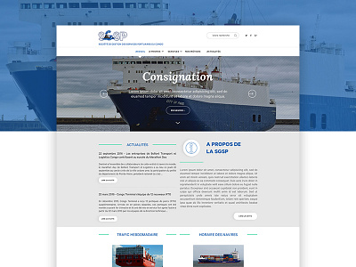 SGSP blue design web website