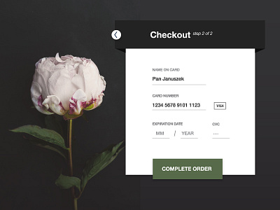 Card Checkout 002 card checkout dailyui payment ui