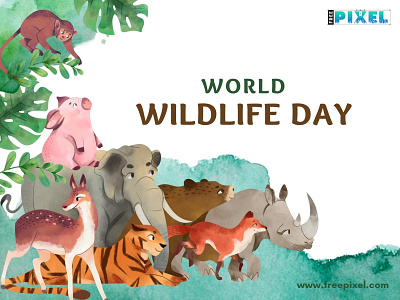World Wildlife Day animals wildlife world wildlife day