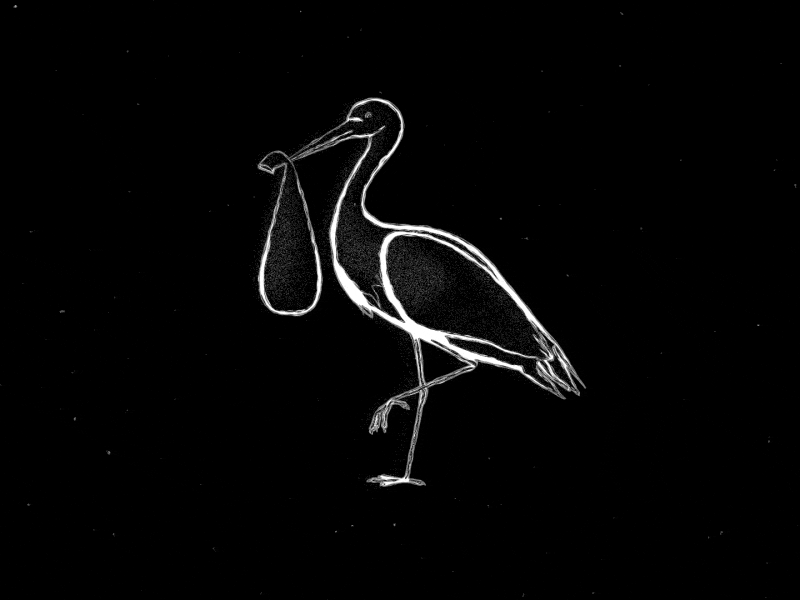 Stork 3d after effects animation bird black bw character lineart motion graphics npr space stork