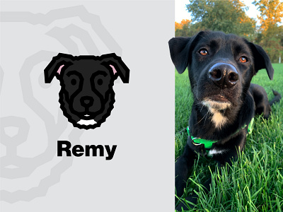 Remy animal black dog dog labrador logo simple