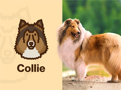 Collie Dog Logo animal collie dog art dog icon dog illustration dog logo face flat fluffy simple vector