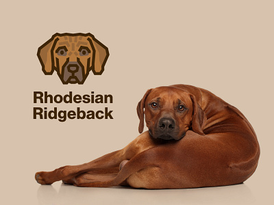 Rhodesian Ridgeback Dog Logo