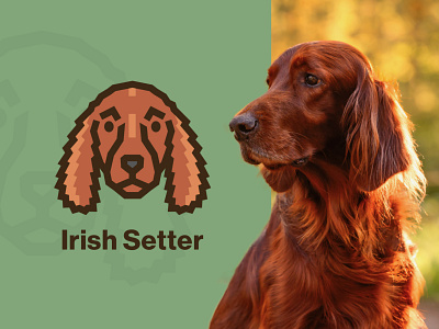 Irish Setter Dog Logo canine long hair vector