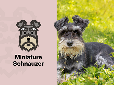 Miniature Schnauzer Dog Logo animal canine cute design dog icon dog logo face illustration logo pet simple vector