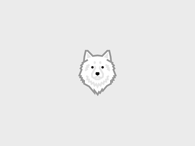 Samoyed