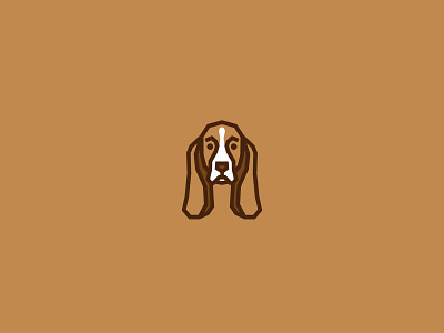 Basset Hound