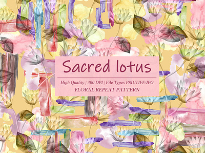 Sacred lotus