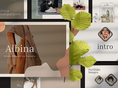 Albina - Creative Agency