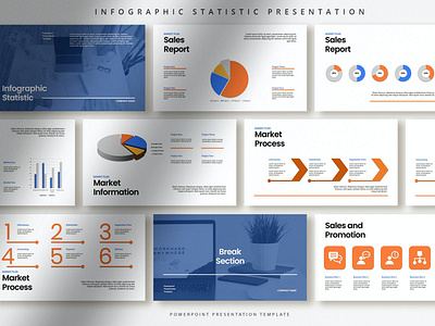 Professional Infographic Statistic Presentation