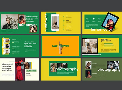 Free sunflowers - keynote Creative Business Company brand designer brand guide brand identity branding business business company company creative business design designposter graphic design illustration keynote keynote creative marketing collateral motion graphics pitch powerpoint ui vector