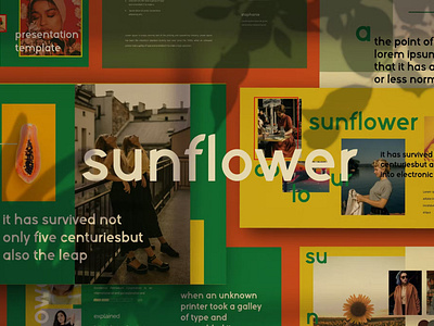 SunFlowers - CreativeBusiness Company annual business clean corporate download google slides keynote pitch pitch deck powerpoint powerpoint template pptx presentation presentation template project report slidemaster slides template web