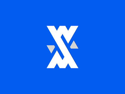 S Logo Exploration