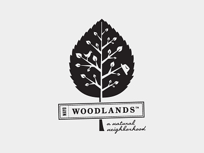 Mayo Woodlands brand identity illustration logo typography