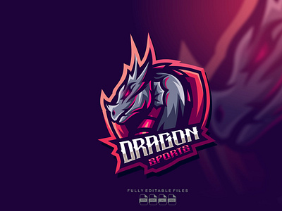 dragon sport