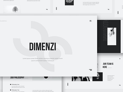 Dimenzi Branding Guidelines