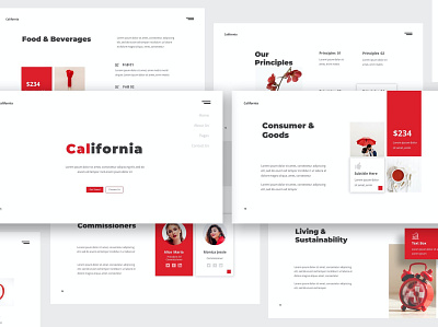 California Company Profile business company profile corporate creative diagram elegant fashion google slides keynote lookbook modern multipurpose pitch deck portfolio powerpoint presentation purpose simplicity slides template