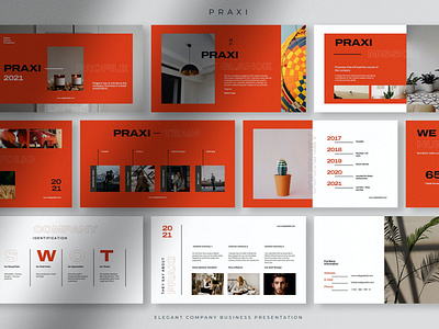 Praxi - Elegant Company Business Presentation