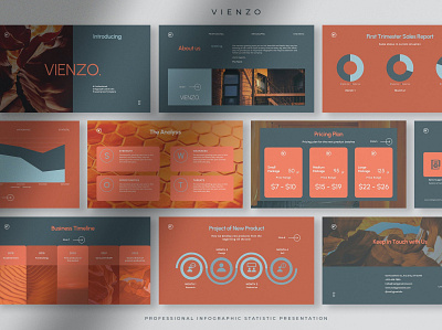 Vienzo - Professional Infographic abstract branding concept creative creative clean deck design illustration infographic modern modern creative pitch pitch deck powerpoint presentation presentation template professional slides template web development