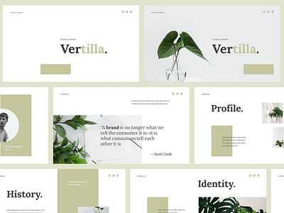 Vertilla - Brand Guideline Powerpoint Template