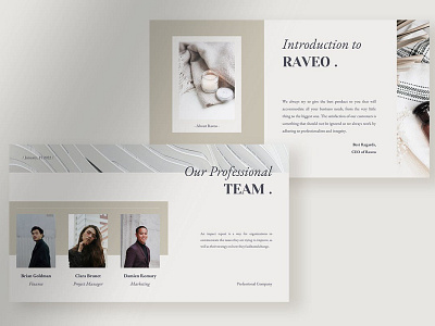 Professional Company Profile Presentation brand guideline brand identity branding brochure corporate creative design google slides guideline illustration keynote multipurpose multipurpose template pitch deck powerpoint presentation presentation template web design web development website