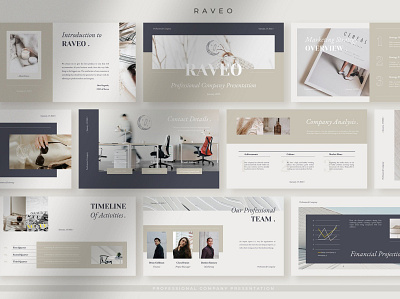 Raveo - Professional Company Profile Presentation branding company company profile concept creative creative agency design graphic illustration modern multipurpose multipurpose template professional professional company profile profile presentation startup style web design web development