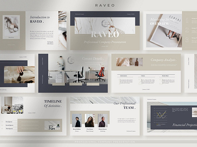 Raveo - Professional Company Profile Presentation