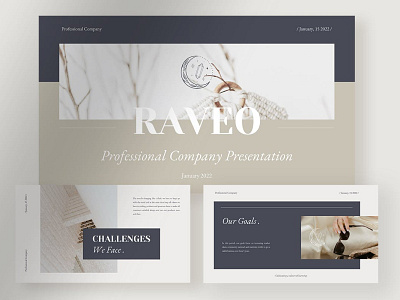 Raveo - Professional Company Profile Presentation