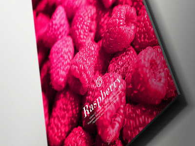 Raspberry photography poster print solehab