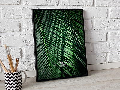 Arecaceae arecaceae palm tree photography poster print