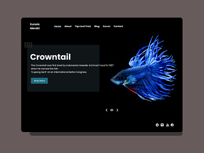 Website For Fish art cupang desainweb design eunoiameraki fish indonesia seni ui uiux webdesign website