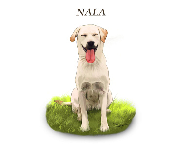 Nala dog animation design graficdesign illustration