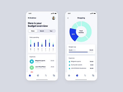 Wallny - Dashboard app concept app budget clean dashboard design finance financial interface ui